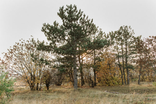 Tehotenske Fotografie Kolinany Okr. Nitra