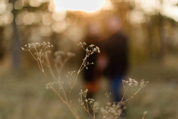 Tehotenske Fotografie Kolinany Okr. Nitra