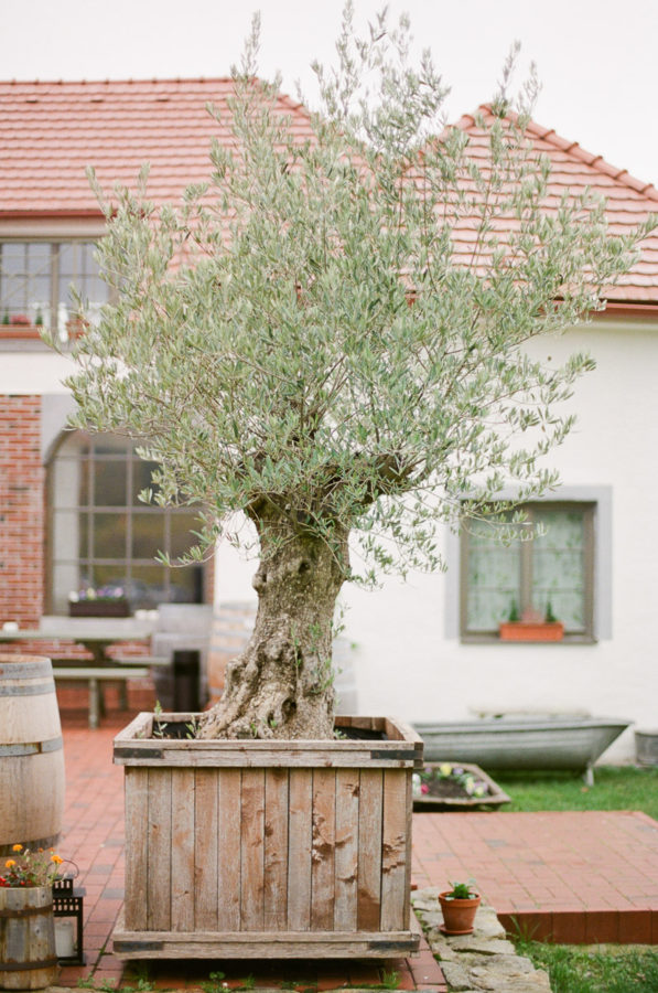 Peter&Veronika_workshop2